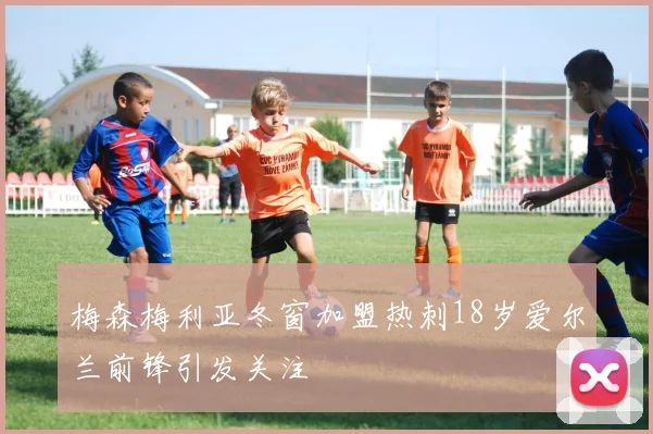 梅森梅利亚冬窗加盟热刺18岁爱尔兰前锋引发关注